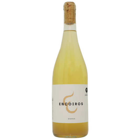 エンコイロス 2022